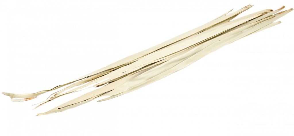 Sun Palmen Blätter natur ca. 100cm Bund mit 250g
