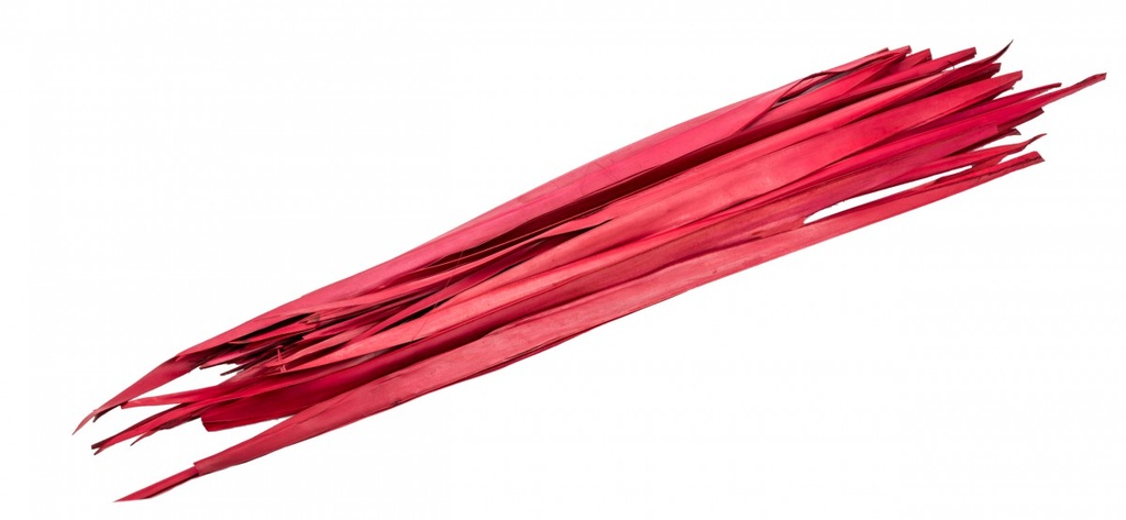 Sun Palmen Blätter rot ca. 100cm Bund mit 250g