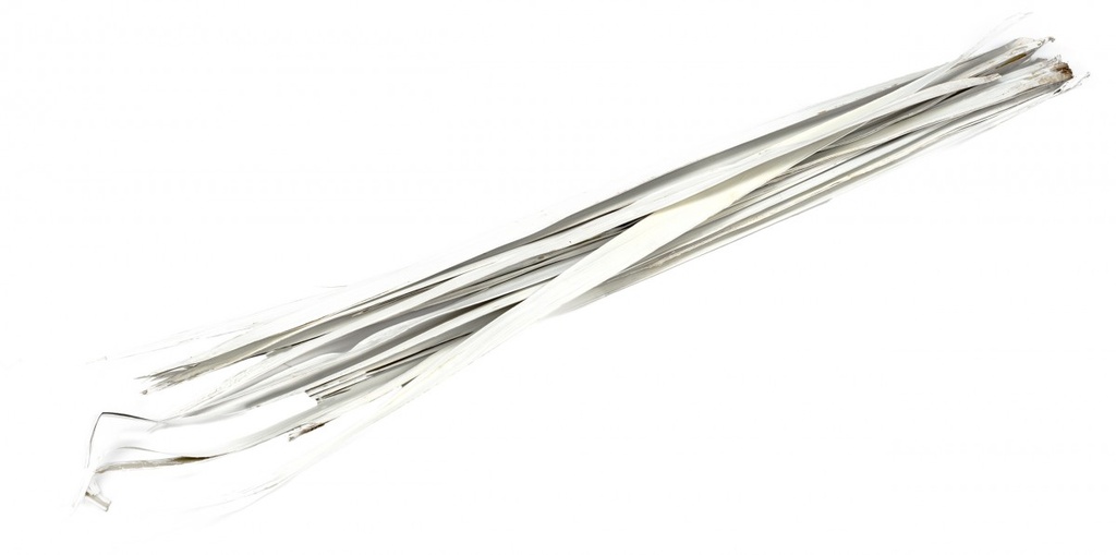 Sun Palmen Blätter weiß ca. 100cm Bund mit 250g