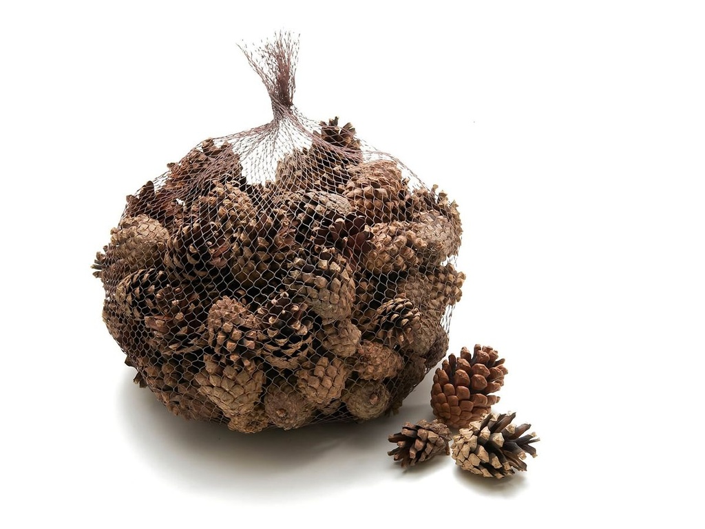 Kiefernzapfen 1 kg ca. 150 Stk 3-5 cm Pinus sylvestris Zapfen Basteln Deko Natur