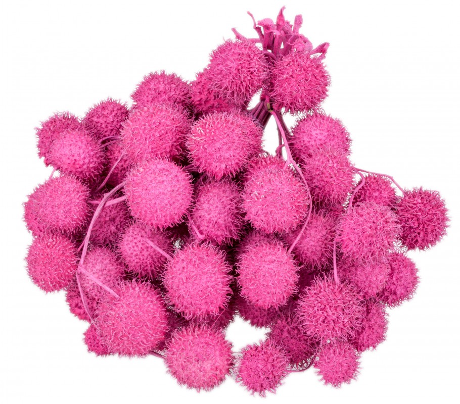 Platan Bälle fuchsia im Bund ca. 250g