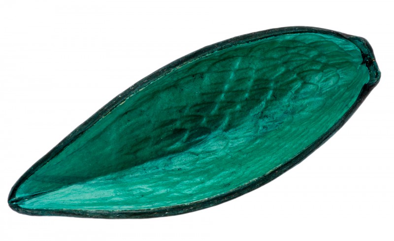 Canoinha türkis 10-15cm