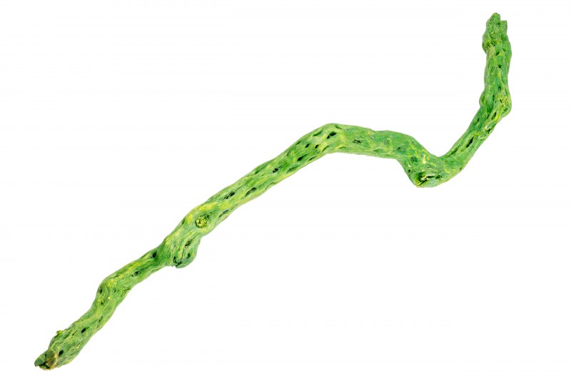 Shola Stick apfelgrün