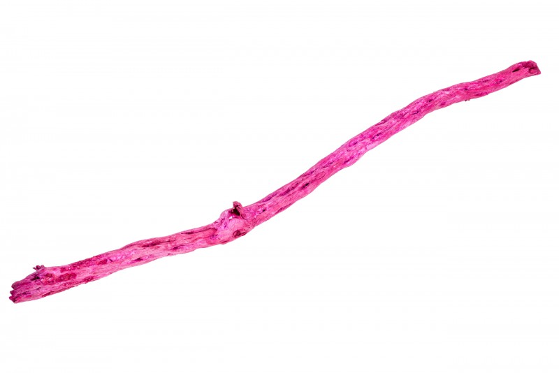 Shola Stick fuchsia