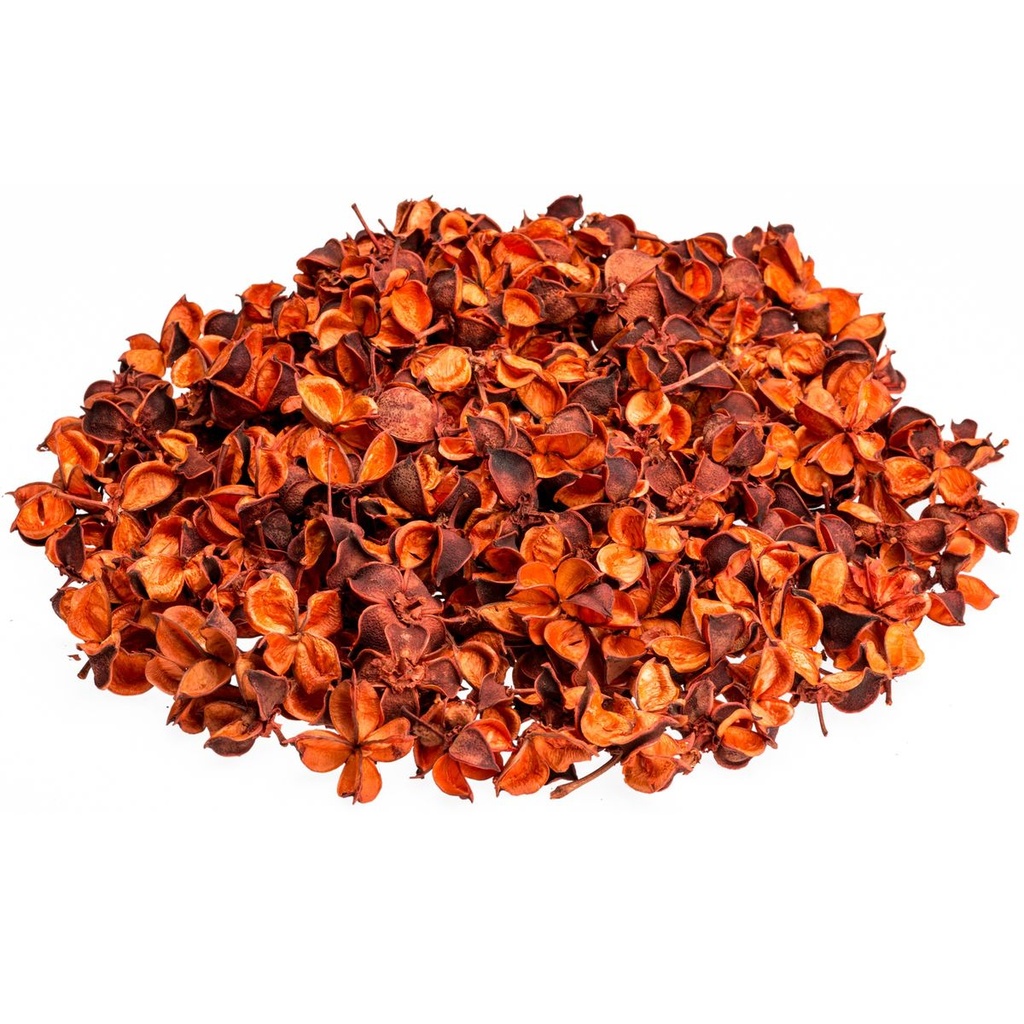 Cotton Pods Orange 250g  getrocknete Baumwollknospen Deko DIY Herbst Natur