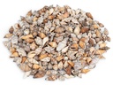 Canarium urceus 0,5 kg 2-6 cm ca. 100-200 Stück Flügelschnecken Deko Basteln