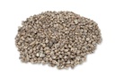 Nerita polita 1 kg 1-2 cm kleine Schneckenhäuser Streudeko Mosaik Deko maritim