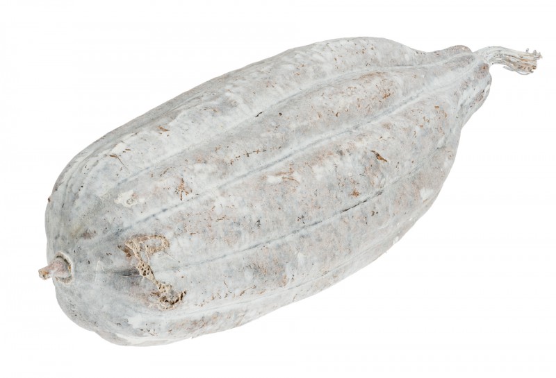 Luffa Frucht weiß ca. 10-15cm | Schwammgurke