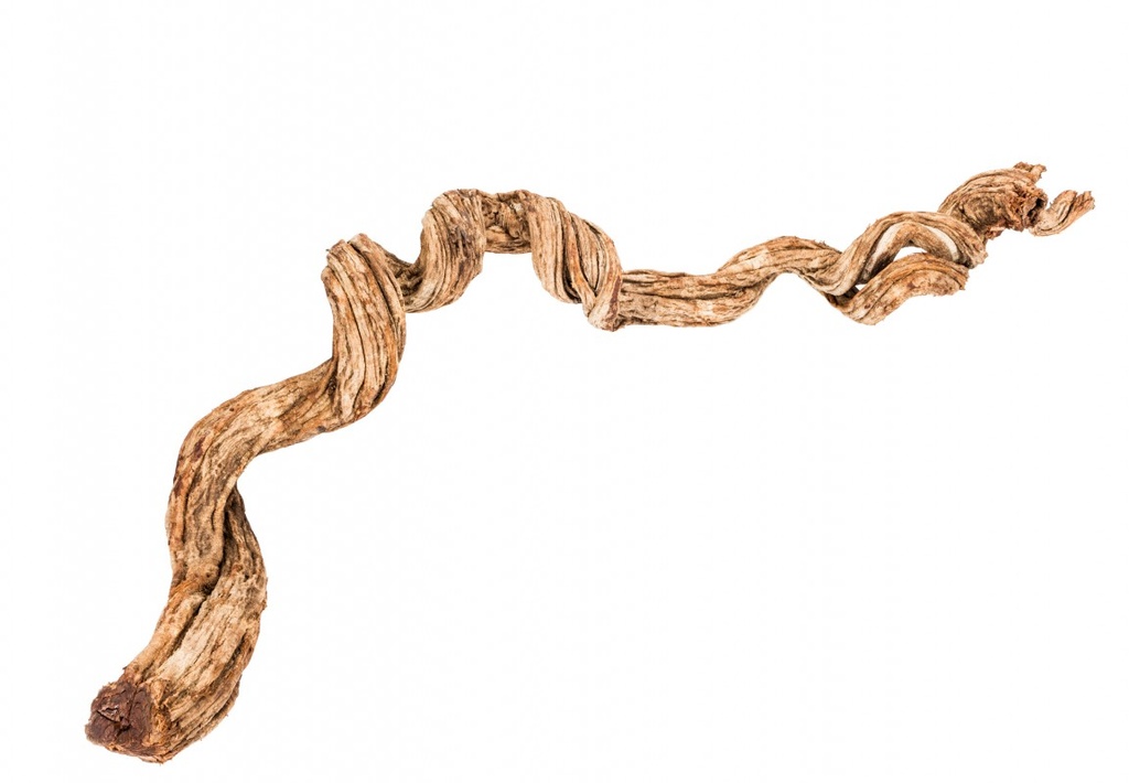 Cipo Rosca Liane ca. 200x12-15cm