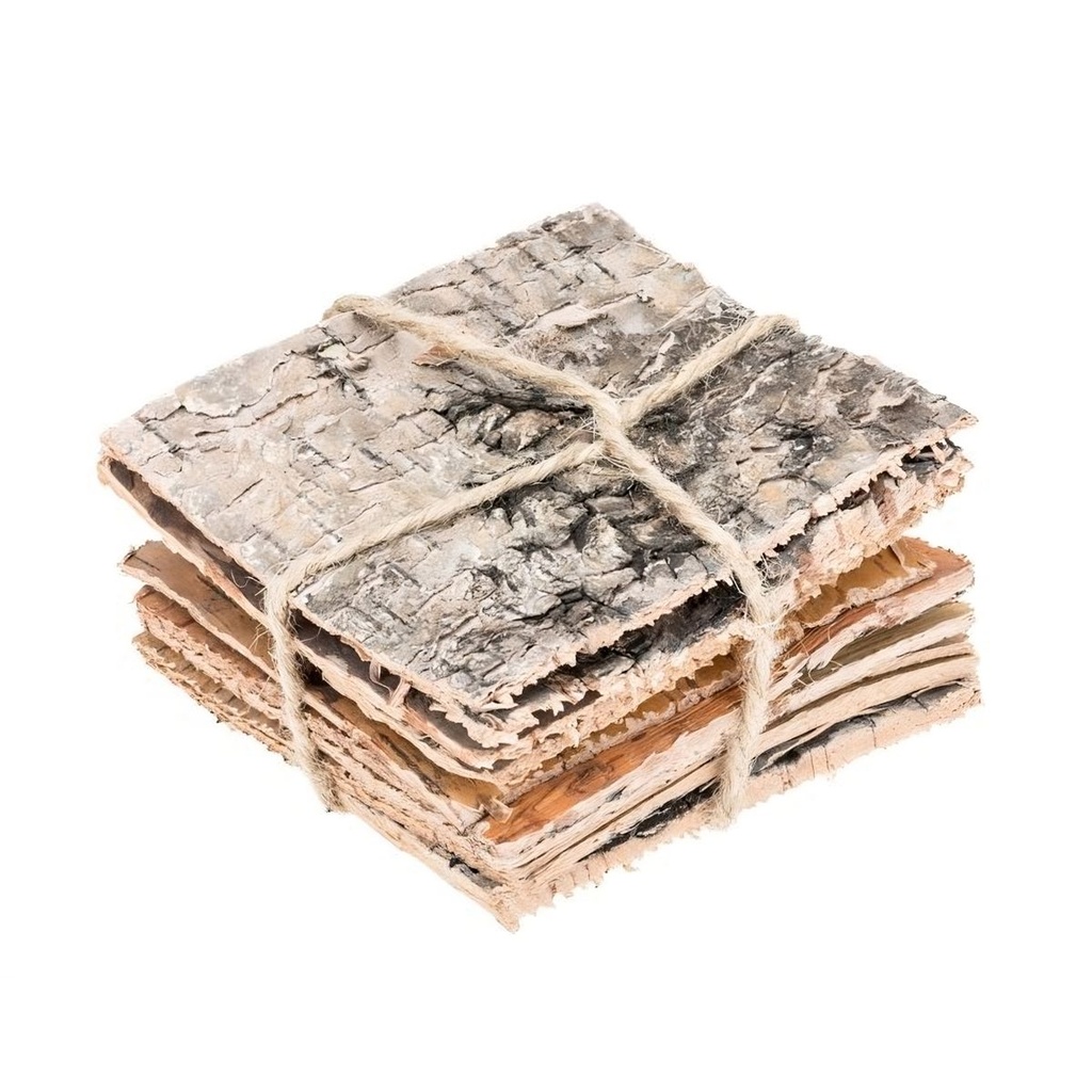 Birkenrinde 10x10 cm 8 Platten Baumrinde Birkenplatte Basteln Deko Natur Holz