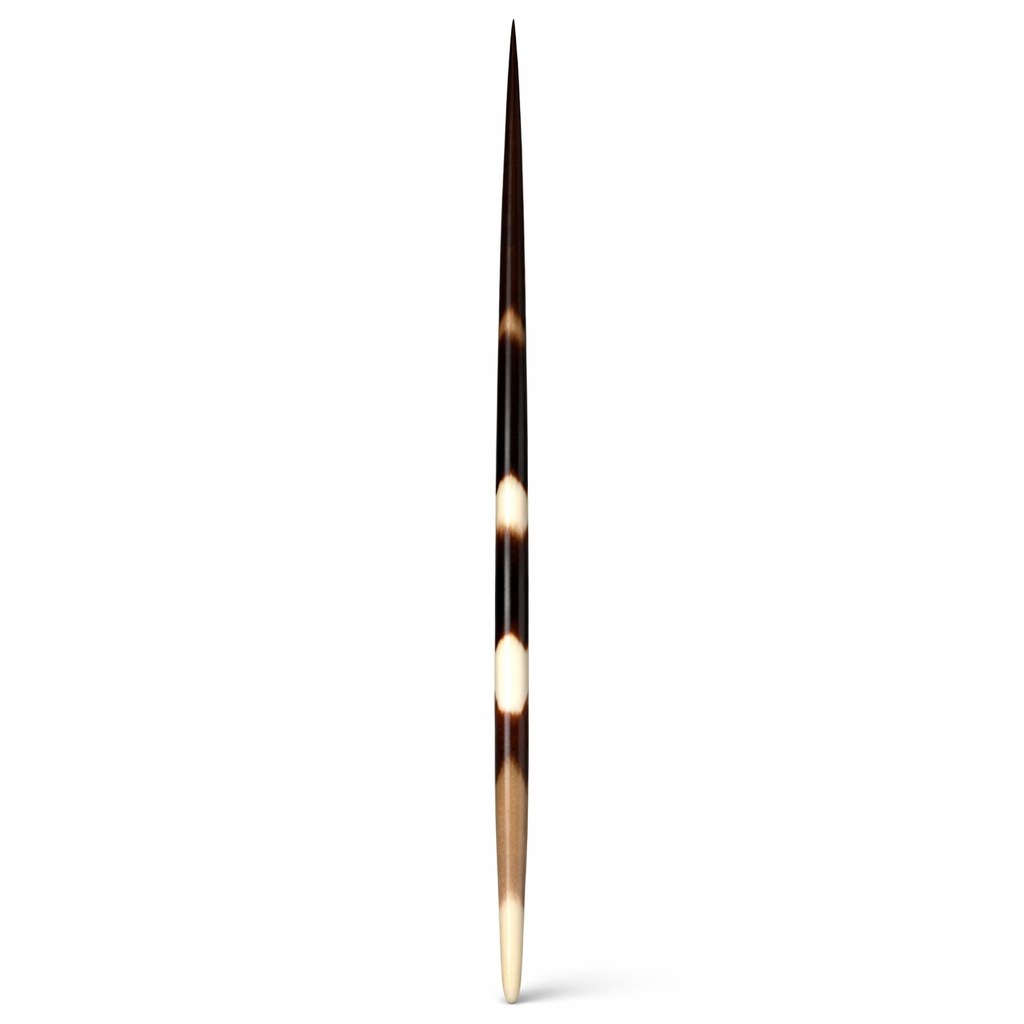 Stachelschweinborste 15-20 cm Porcupine Quill Stachel Afrika Deko Angelpose