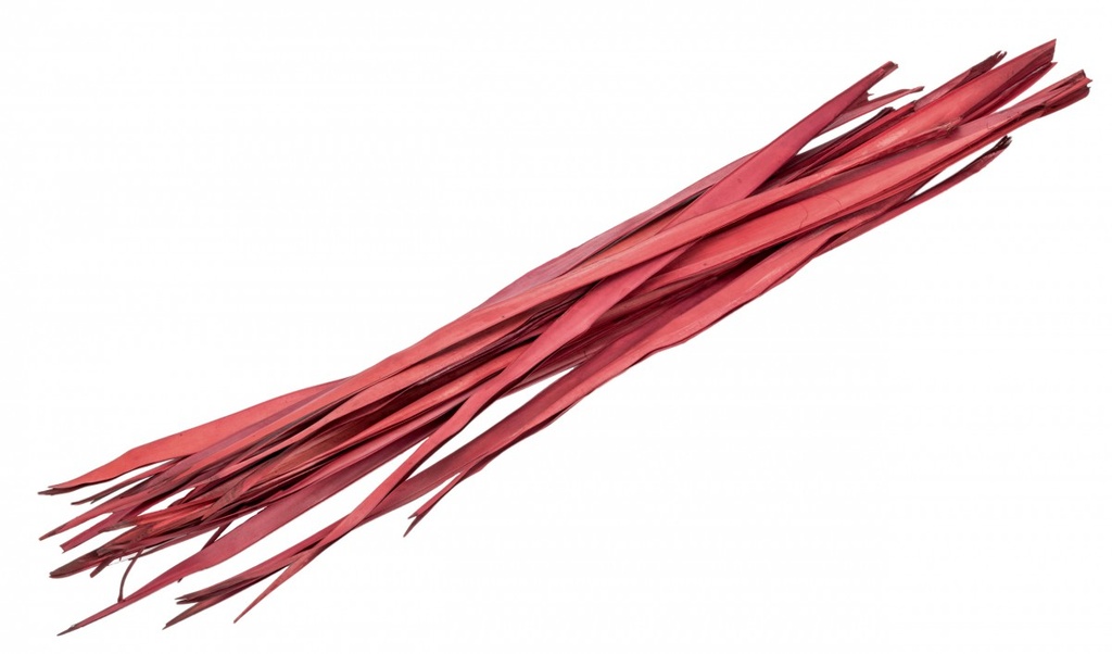 Sun Palmen Blätter bordeaux ca. 100cm Bund mit 250g