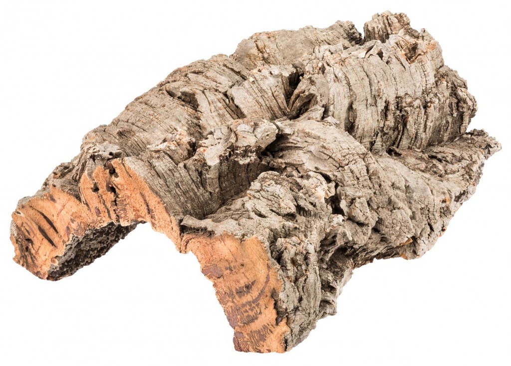 Korkrinde in Natur, Maße ca. 25-30 cm | Korkeichenrinde