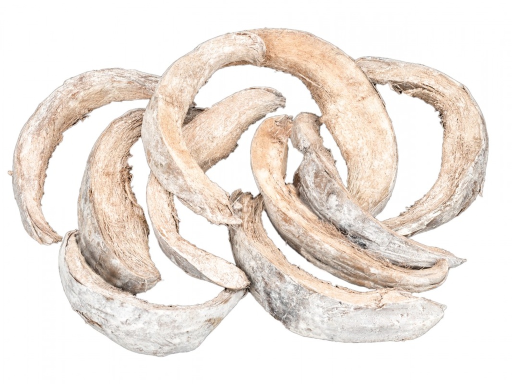 Kokosschale weiß ca. 20-30cm 0,5kg
