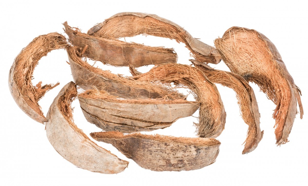 Kokosschale in Natur, Größe ca. 20-30cm, Packung mit 0,5kg | Kokosrinde
