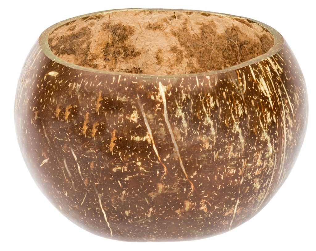 Kokosbecher poliert Ø 10-13 cm Höhe 8-10 cm Kokosnussschale Boho Deko Basteln