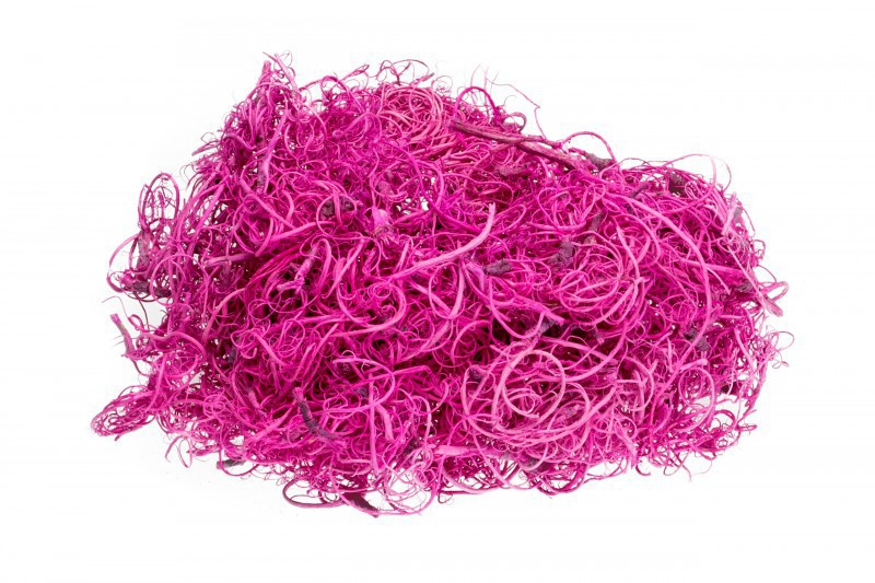 Curly Moos fuchsia 50g