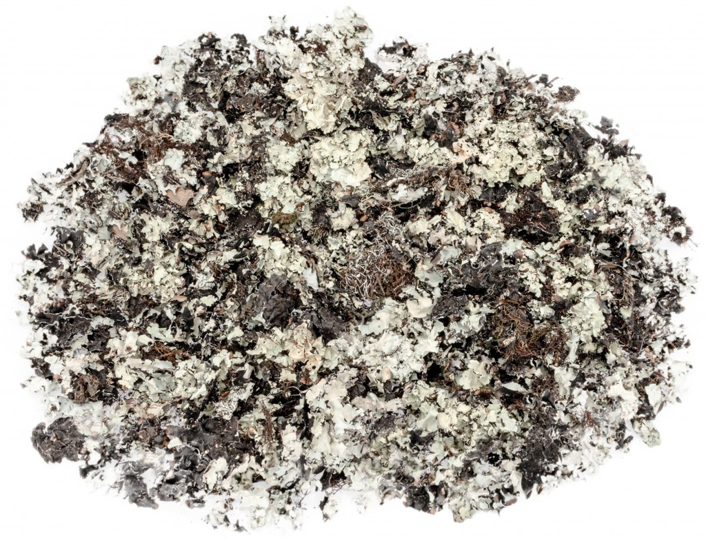 Schwarzes Moos Natur, verpackt im Beutel mit 225g | Parmelia sulcata