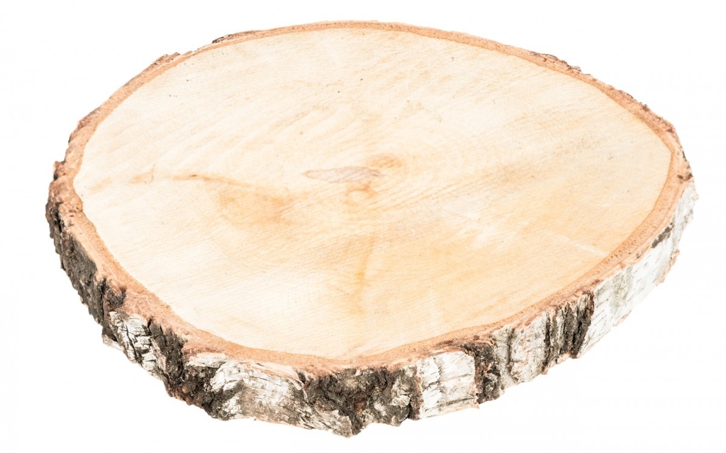Birkenscheibe Ø20-30cm x2-3cm