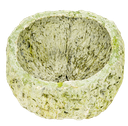 Qurico in Stone Washed Apfelgrün, Größe ca. 7-10cm | Paranussschale