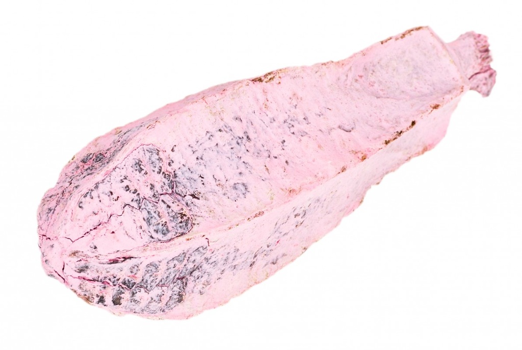 Mahagoni Kern pink ca. 8-12cm
