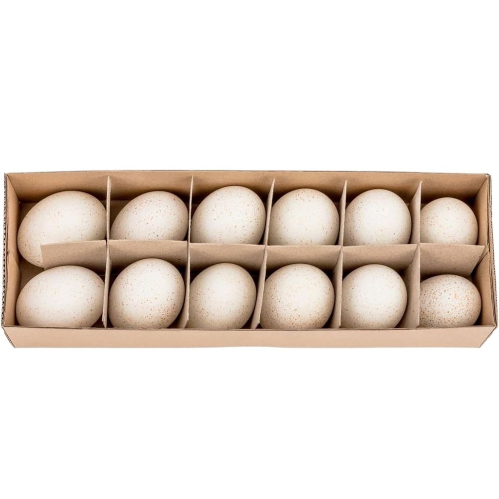 Truthahneier 12 Stück ausgeblasen Ostereier zum Bemalen Osterdeko Naturdeko