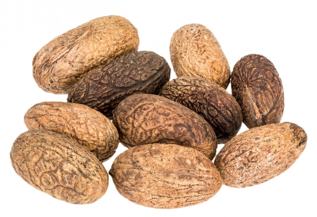 Uxi-Nuss-Samen 10 Stück 3-5 cm exotische Trockenfrucht Deko Natur Naturdeko