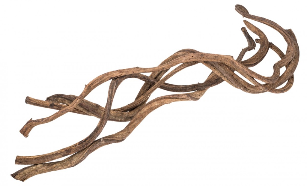 Cipo Fina Lianen 60 cm 5 Stück Ø 1-2 cm Dekoliane Rattan Terrarium Voliere Natur