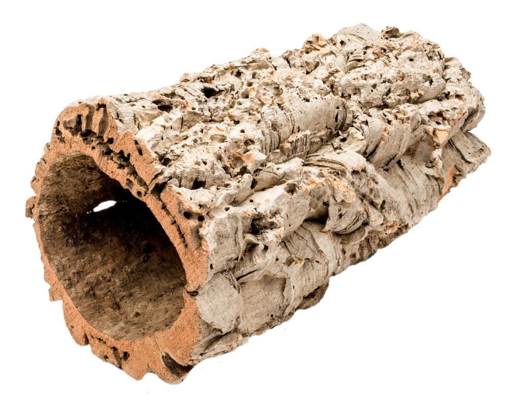 Korkeiche "XL", Länge ca. 30 bis 40 cm, Durchmesser ca. 25 bis 35cm | Korktunnel