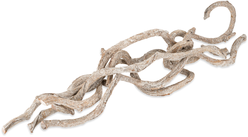Cipo Fina Lianen Weiß 5 Stück 60 cm gedrehte Deko-Liane Natur Naturdeko DIY