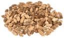 Douglasien Zapfen 1 kg ca. 150 Stück 5-8 cm Pseudotsuga Dekozapfen Kranz Advent