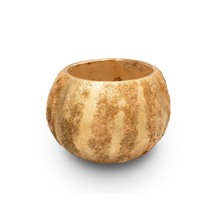 Kokos Becher gold Ø 10-13cm