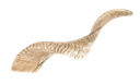 Schafshorn in Natur mit einer Länge zwischen 36 und 40cm