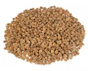 Kasuarinen Zapfen natur 0,4kg | Casuarina equisetifolia | Kleine Dekozapfen | Kliene Tannenzapfen | Tannen Zapfen | Naturzapfen