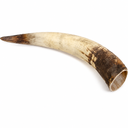 Rinderhorn natur 50-59 cm Watussi Horn Kuhhorn Stierhorn Tierhorn Afrika Deko
