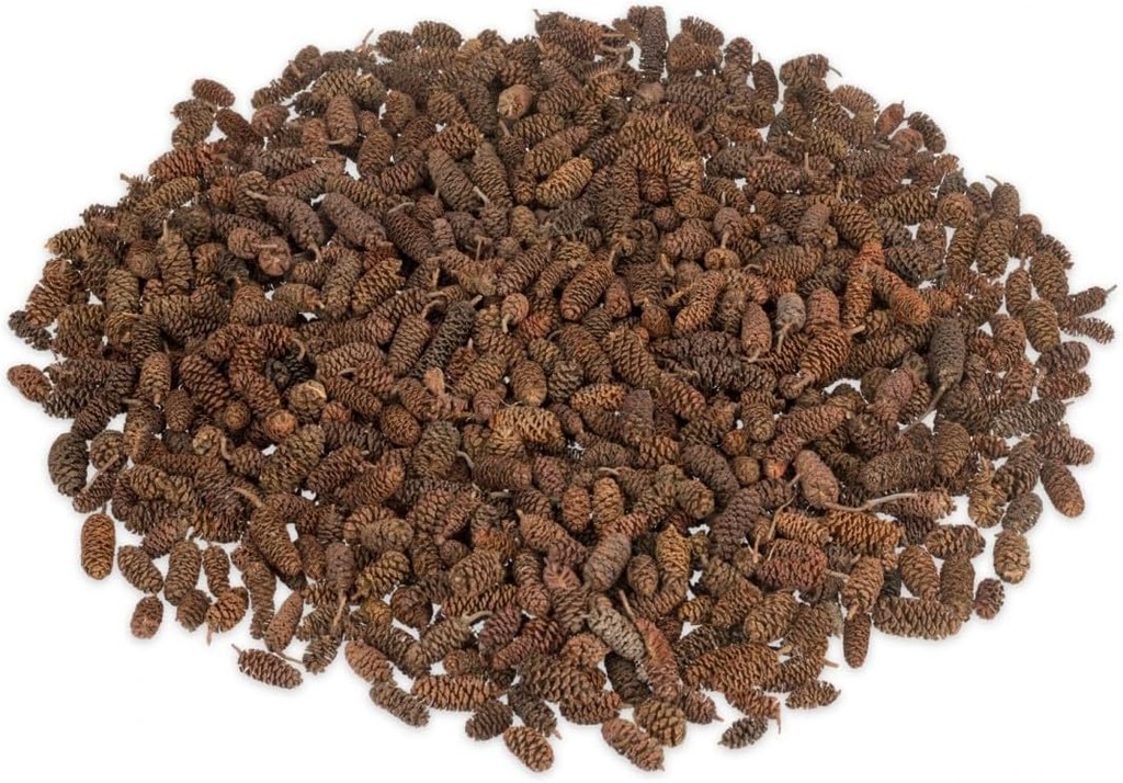 Erlen-Zapfen in Natur, Packung mit ca. 250g | Alnus glutinosa