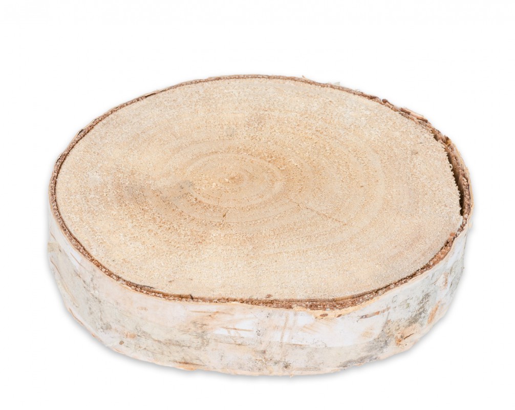 Birkenscheibe Ø10-15cm x 2cm