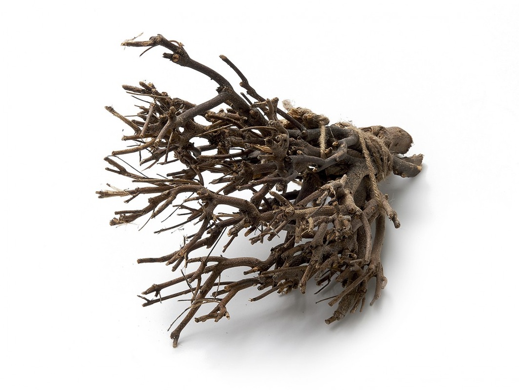 Dekobündel John Branch Natur ca. 35 cm – ca. 0,5 kg Naturzweige für Vasen, Bastelideen, Holzdeko & Krippenbau, gebundenes Zweigbündel