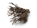 Dekobündel John Branch Natur ca. 35 cm – ca. 0,5 kg Naturzweige für Vasen, Bastelideen, Holzdeko & Krippenbau, gebundenes Zweigbündel