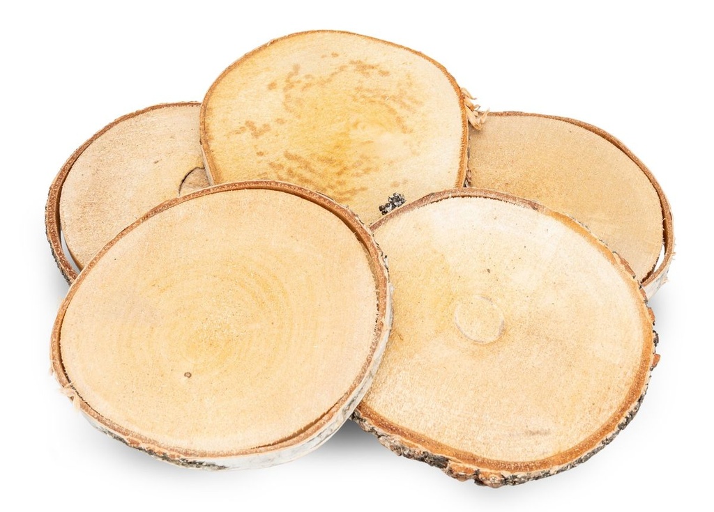 Birkenscheiben Ø ca.12 - 14 cm, 5 Stück, Stärke 1 cm | Holzscheiben