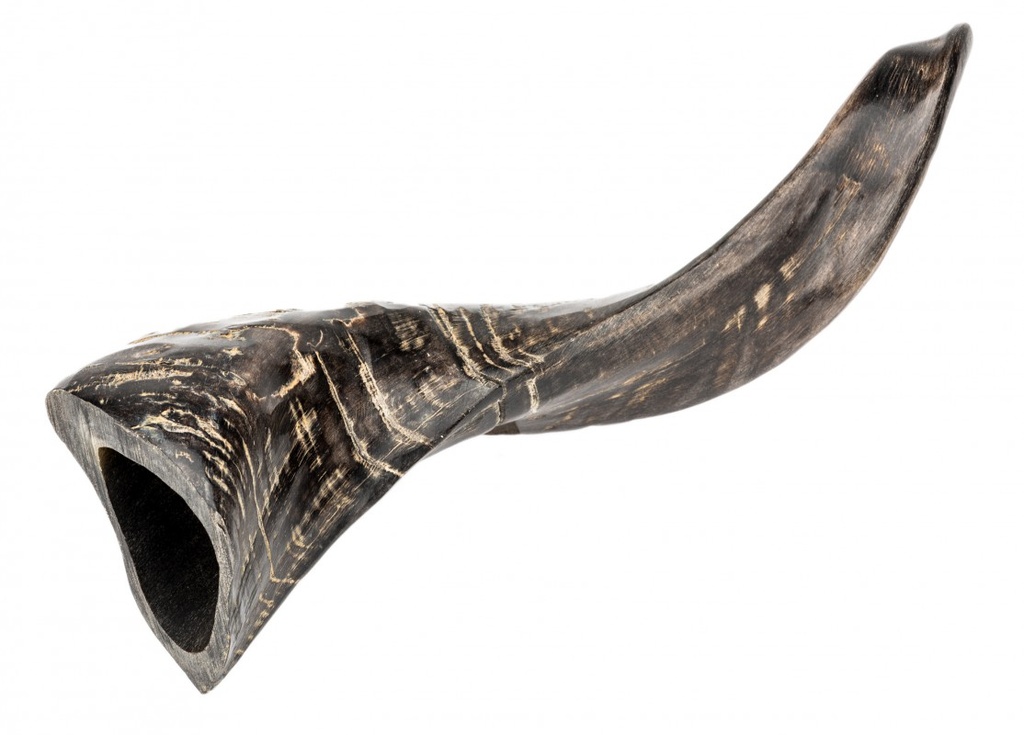 Schafhorn Natur, Länge 26-30cm,