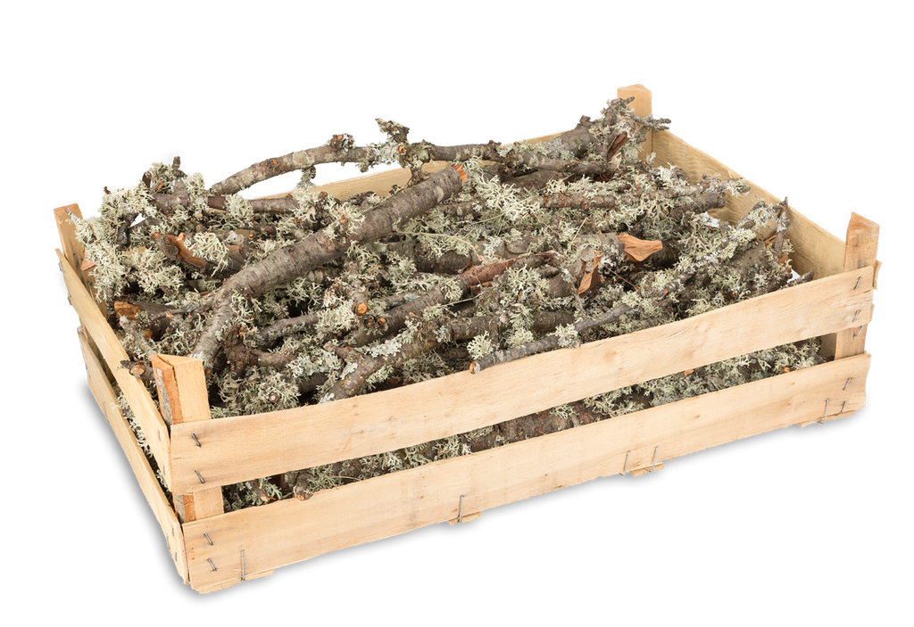 Moos Zweige Natur, verpackt in einer Holzsteige 60x40x18cm | Dekoäste