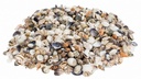 Muschelmix Small 0,5 kg kleine Muscheln Schnecken Basteln maritime Deko Natur
