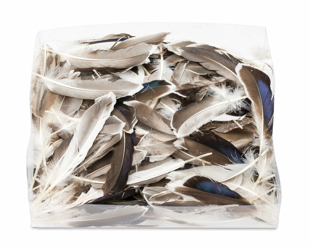Entenfedern Natur, ca. 10cm verpackt mit ca.45 Gramm | Enten Federn für Bastelprojekte und Traumfänger | Federn zum Basteln und Dekorieren | Dekofedern | Bastelfedern | Indianerfedern
