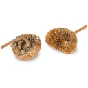 Sonnenblumen Kopf Natur, Länge ca. 6-8cm