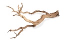 Ghostwood Baum sandgestrahlt 90 cm Dekobaum Holz Zweig Natur Naturdeko Basteln