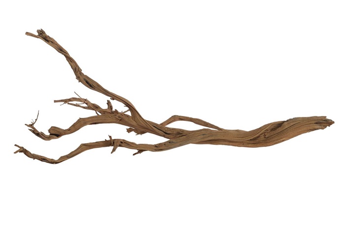 Ghostwood Baum sandgestrahlt ca. 120cm hoch