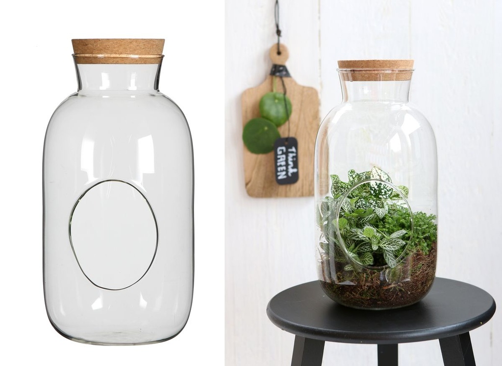 Zylinder Flasche mit Korken Höhe 22cm Ø12 cm |  Pflanzenterrarium
