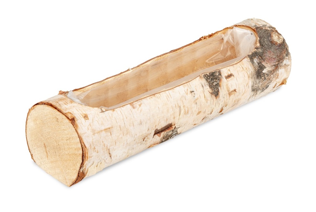 Birkenstamm Pflanzschale 29 cm mit Folie Pflanztopf Birke Holzschale Deko Natur