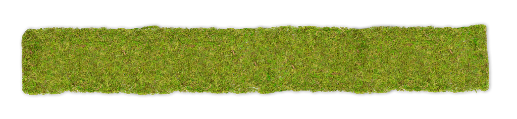 Moosband ca. 120x16cm | Moosplatte